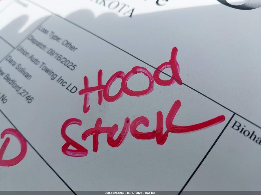 1991 Dodge Dakota VIN: 1B7FL23XXMS306042 Lot: 43244283