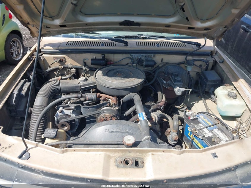 1991 Dodge Dakota VIN: 1B7FL23XXMS306042 Lot: 43244283