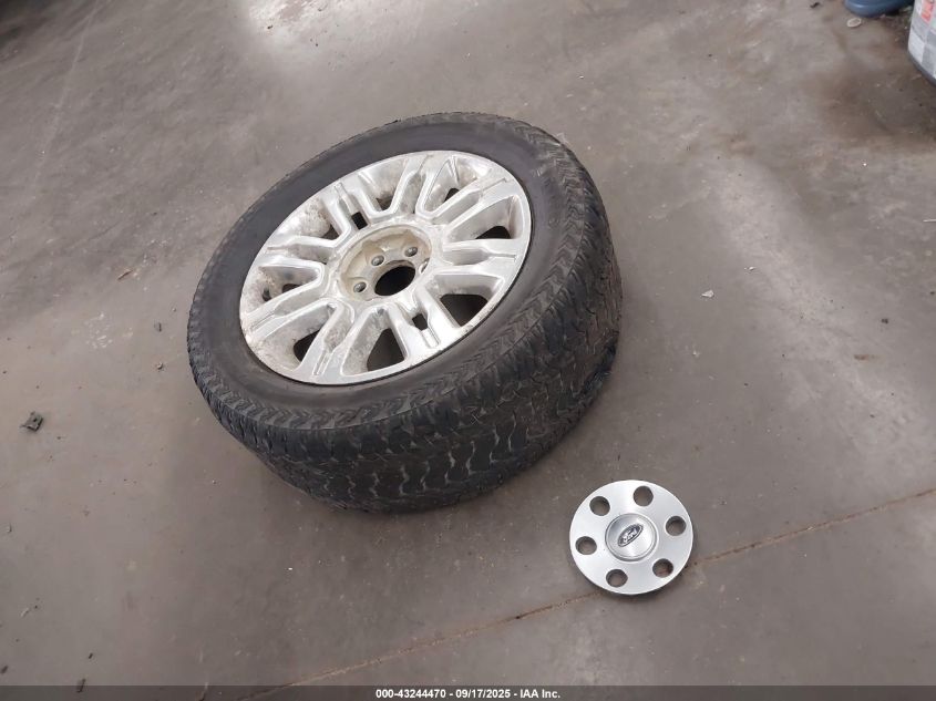 2009 Ford F-150 Fx4/King Ranch/Lariat/Platinum/Xl/Xlt VIN: 1FTPW14V49FB27935 Lot: 43244470