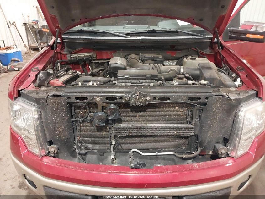 2009 Ford F-150 Fx4/King Ranch/Lariat/Platinum/Xl/Xlt VIN: 1FTPW14V79FB03774 Lot: 43244603