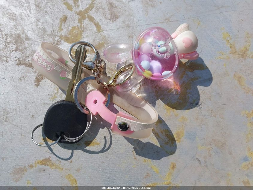 2009 Chevrolet Traverse Lt VIN: 1GNEV23D19S135613 Lot: 43244861