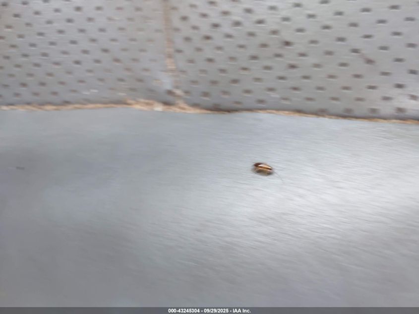 2004 Acura Tsx VIN: JH4CL96934C035407 Lot: 43245304