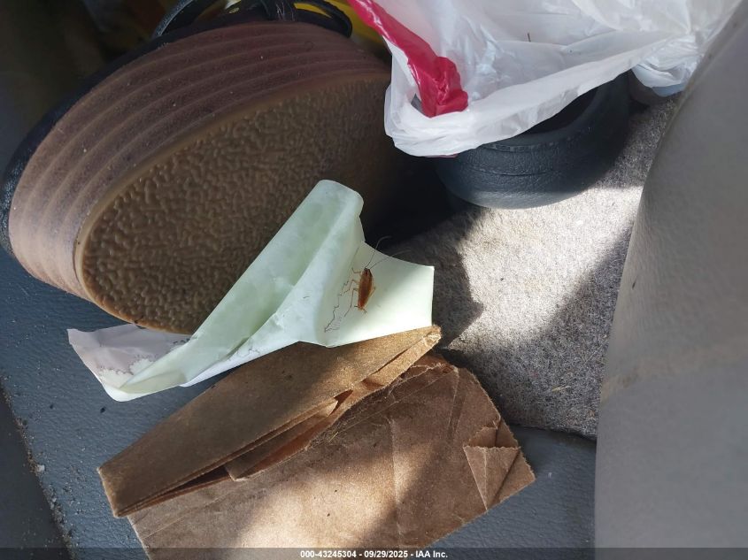 2004 Acura Tsx VIN: JH4CL96934C035407 Lot: 43245304