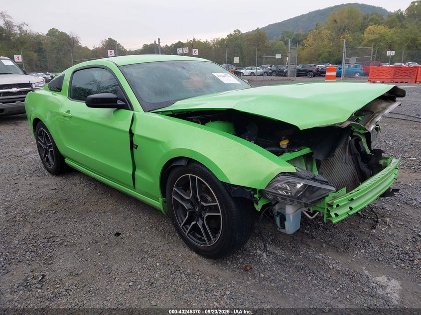 2013 FORD MUSTANG V6 - 1ZVBP8AM2D5278618