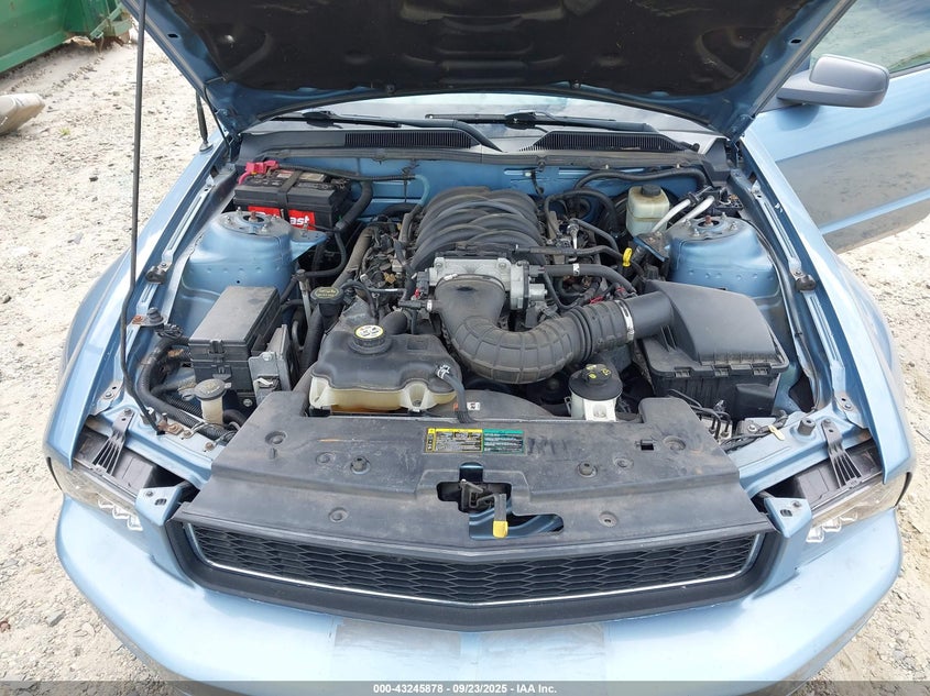 2005 Ford Mustang Gt Deluxe/Gt Premium VIN: 1ZVHT82H655124101 Lot: 43245878