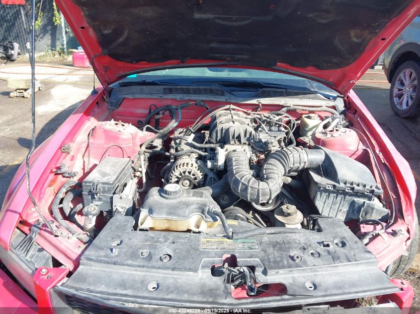 2006 Ford Mustang V6 VIN: 1ZVHT80N265219636 Lot: 43246225