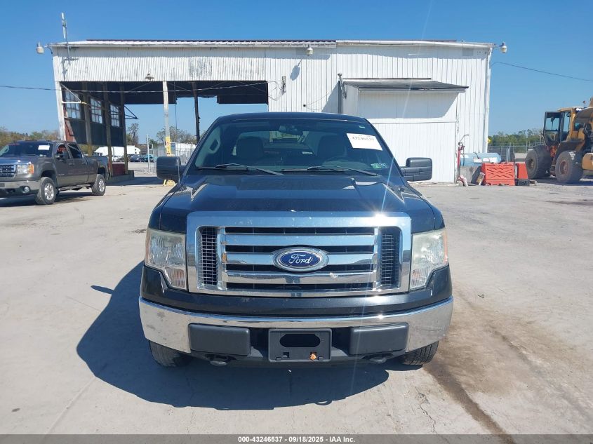 2010 Ford F-150 Stx/Xl/Xlt VIN: 1FTEX1E88AFB16969 Lot: 43246537