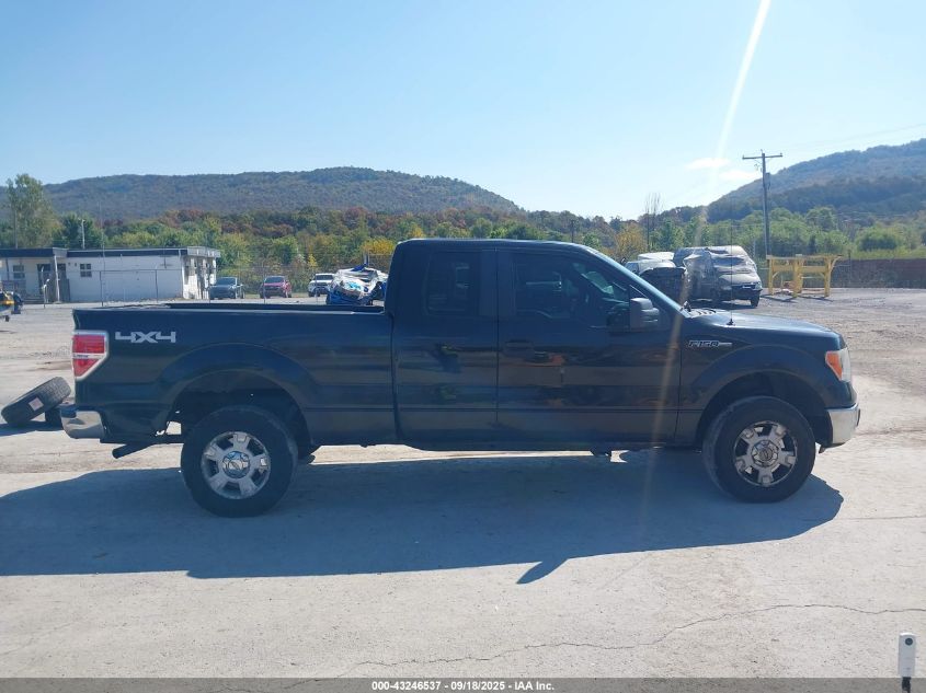 2010 Ford F-150 Stx/Xl/Xlt VIN: 1FTEX1E88AFB16969 Lot: 43246537