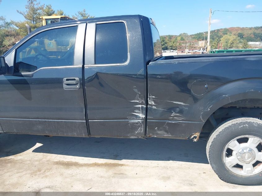 2010 Ford F-150 Stx/Xl/Xlt VIN: 1FTEX1E88AFB16969 Lot: 43246537