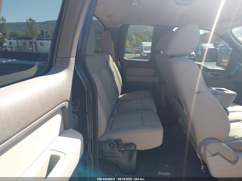 2010 Ford F-150 Stx/Xl/Xlt VIN: 1FTEX1E88AFB16969 Lot: 43246537