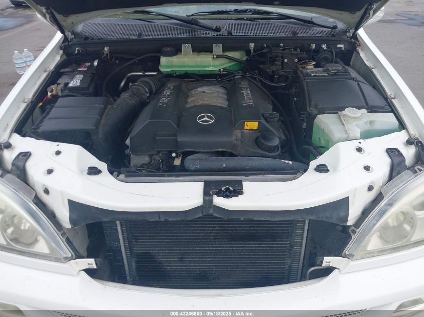 2002 Mercedes-Benz Ml 500 VIN: 4JGAB75E82A314192 Lot: 43246850