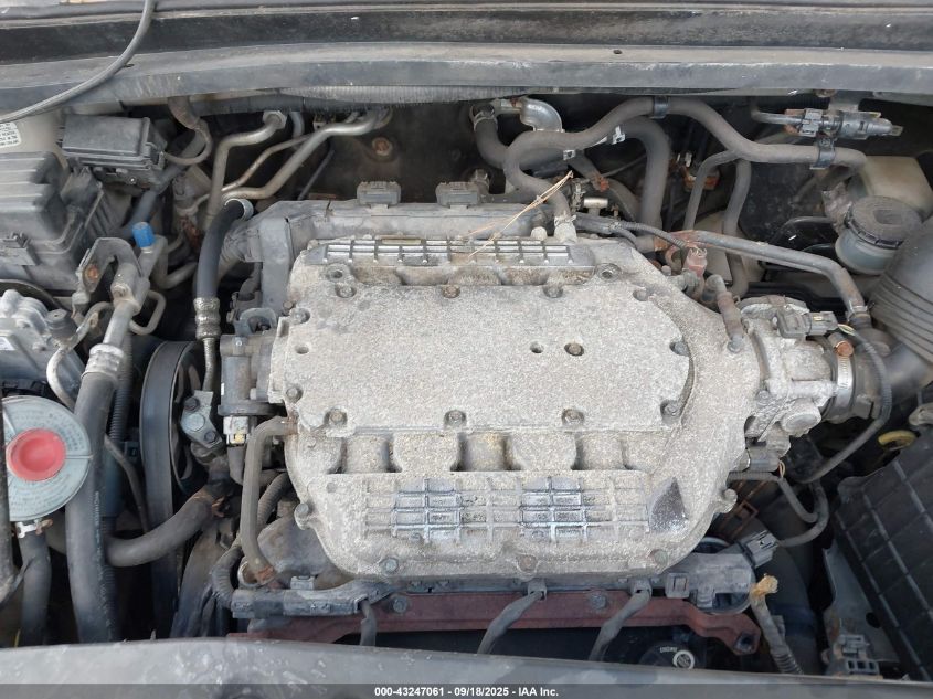 2006 Honda Odyssey Ex-L VIN: 5FNRL387X6B430064 Lot: 43247061