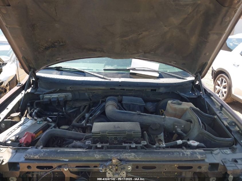 2009 Ford F-150 King Ranch/Lariat/Platinum/Xl/Xlt VIN: 1FTPW12V09FA78624 Lot: 43247142