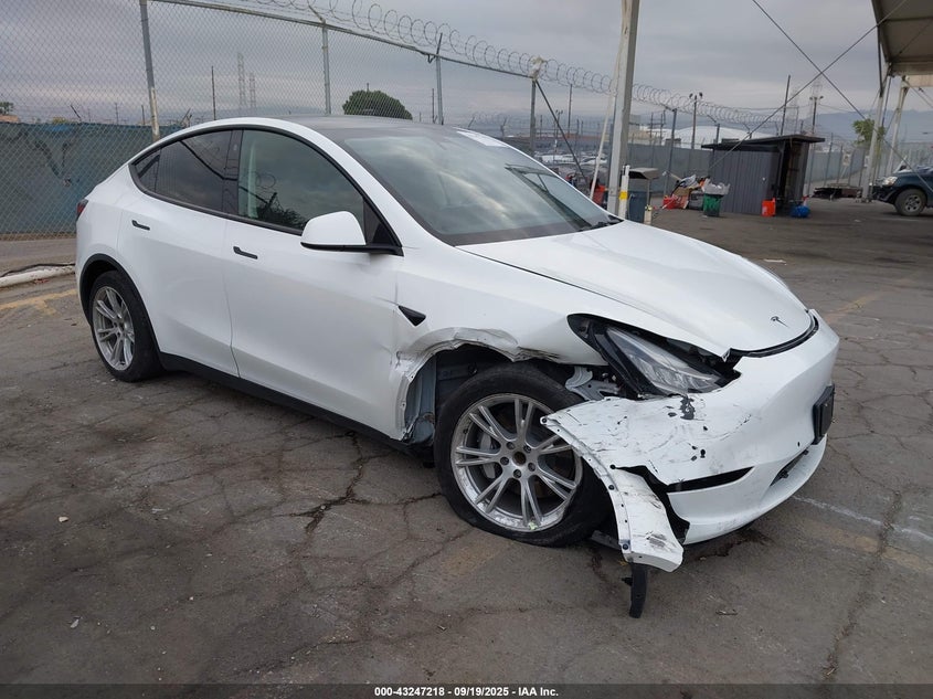 TESLA MODEL Y STANDARD RANGE REAR-WHEEL DRIVE