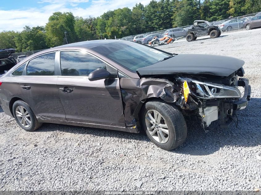 2017 Hyundai Sonata VIN: 5NPE24AF7HH457607 Lot: 43247928
