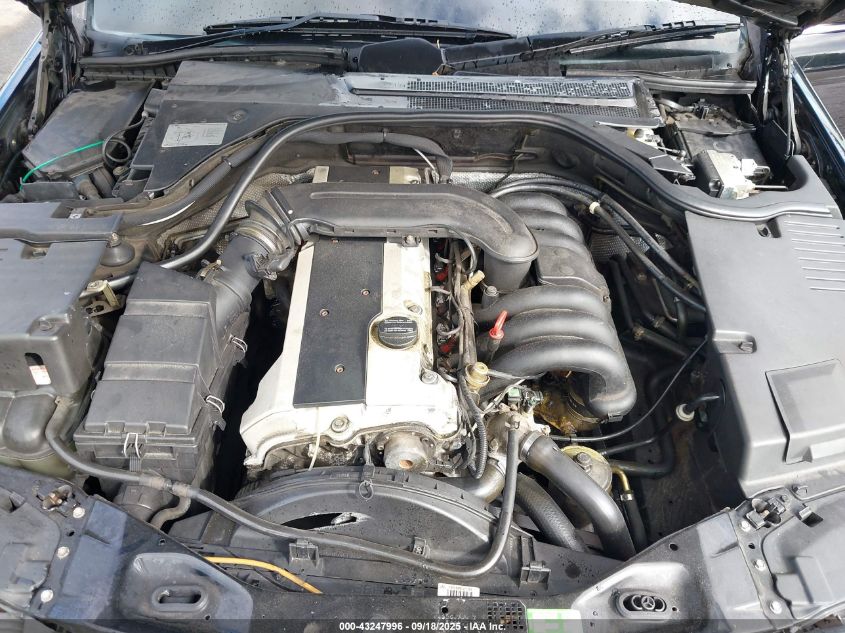 1997 Mercedes-Benz S 320 Base Lwb VIN: WDBGA33G7VA335861 Lot: 43247996