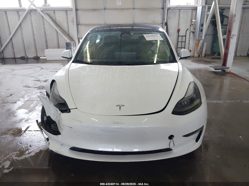 2023 Tesla Model 3 Rear-Wheel Drive VIN: 5YJ3E1EA2PF619622 Lot: 43248114