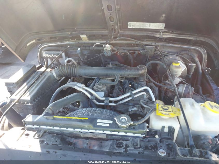 2003 Jeep Wrangler Rubicon VIN: 1J4FA69S33P310696 Lot: 43248843