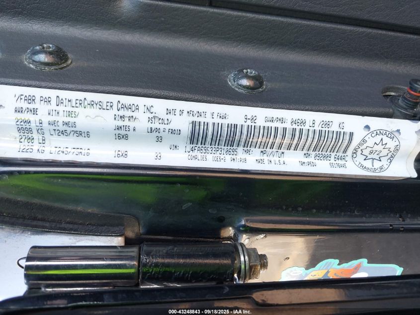 2003 Jeep Wrangler Rubicon VIN: 1J4FA69S33P310696 Lot: 43248843