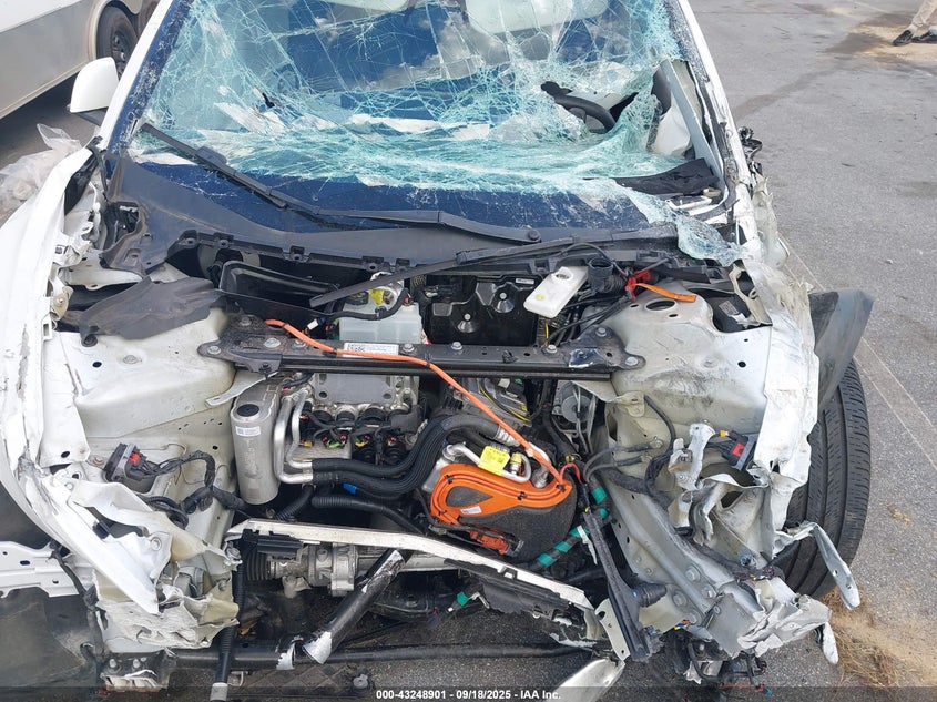 2023 Tesla Model 3 Rear-Wheel Drive VIN: 5YJ3E1EA9PF464759 Lot: 43248901