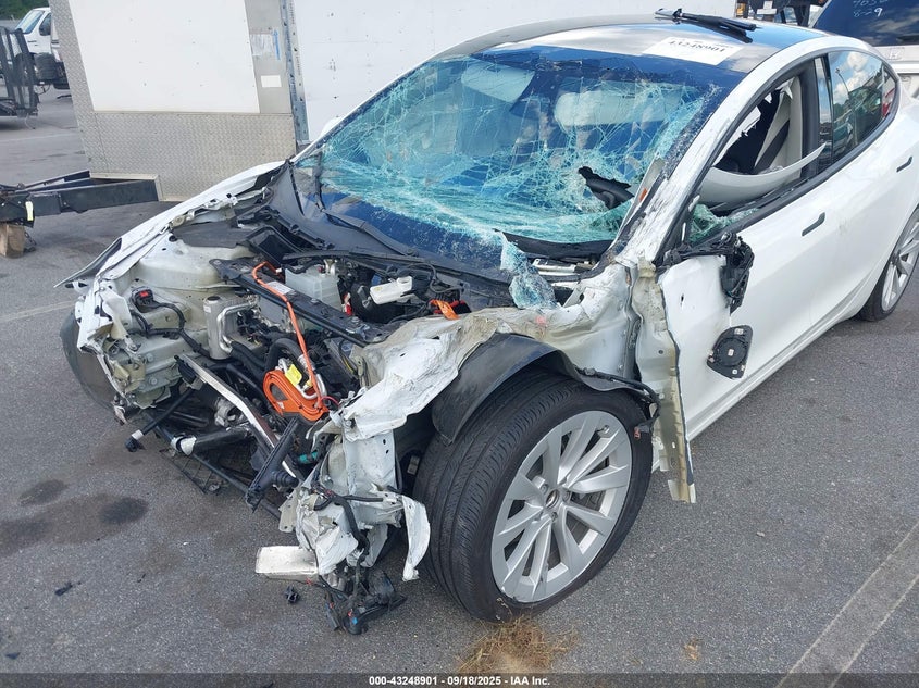 2023 Tesla Model 3 Rear-Wheel Drive VIN: 5YJ3E1EA9PF464759 Lot: 43248901