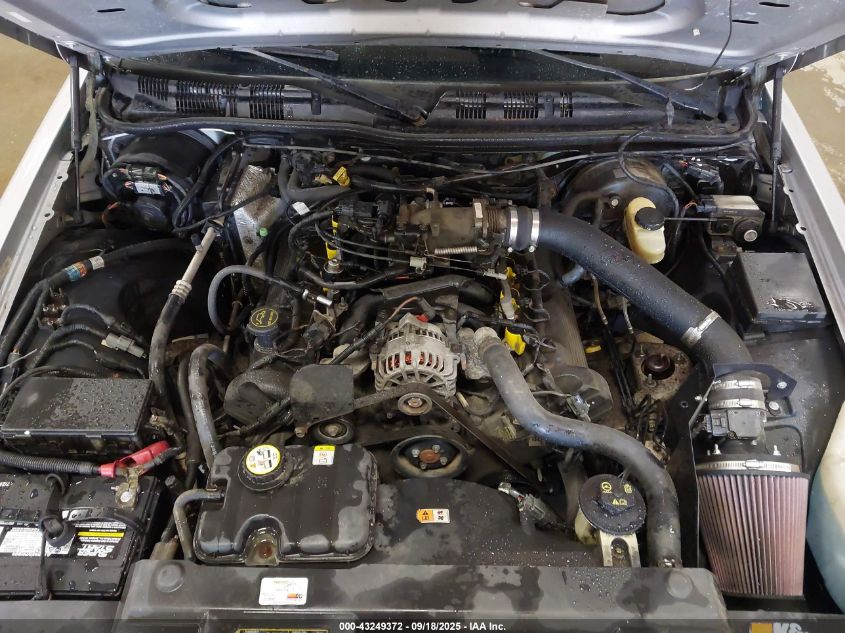 2003 Ford Crown Victoria Police VIN: 2FAFP71W23X123974 Lot: 43249372