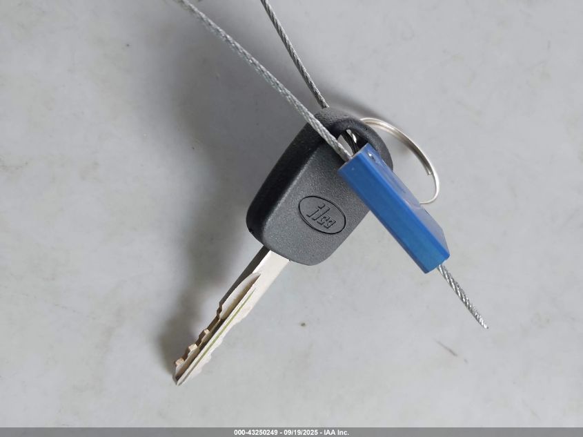 2000 Ford Mustang VIN: 1FAFP4049YF203984 Lot: 43250249