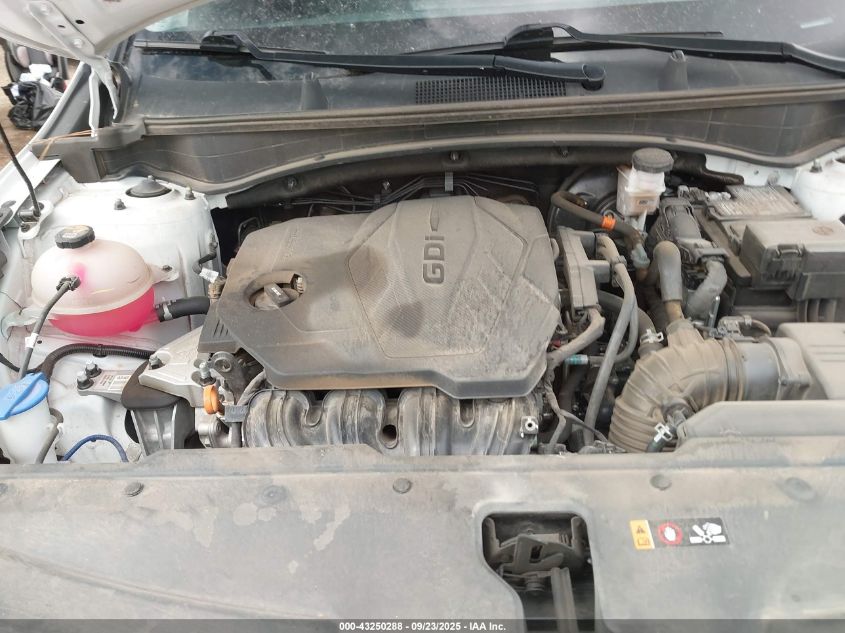 2024 Kia Sportage Ex VIN: 5XYK3CDF1RG149301 Lot: 43250288