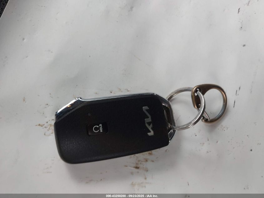 2024 Kia Sportage Ex VIN: 5XYK3CDF1RG149301 Lot: 43250288