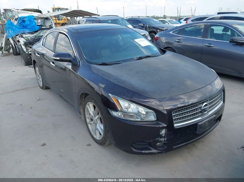 NISSAN MAXIMA 3.5 SV