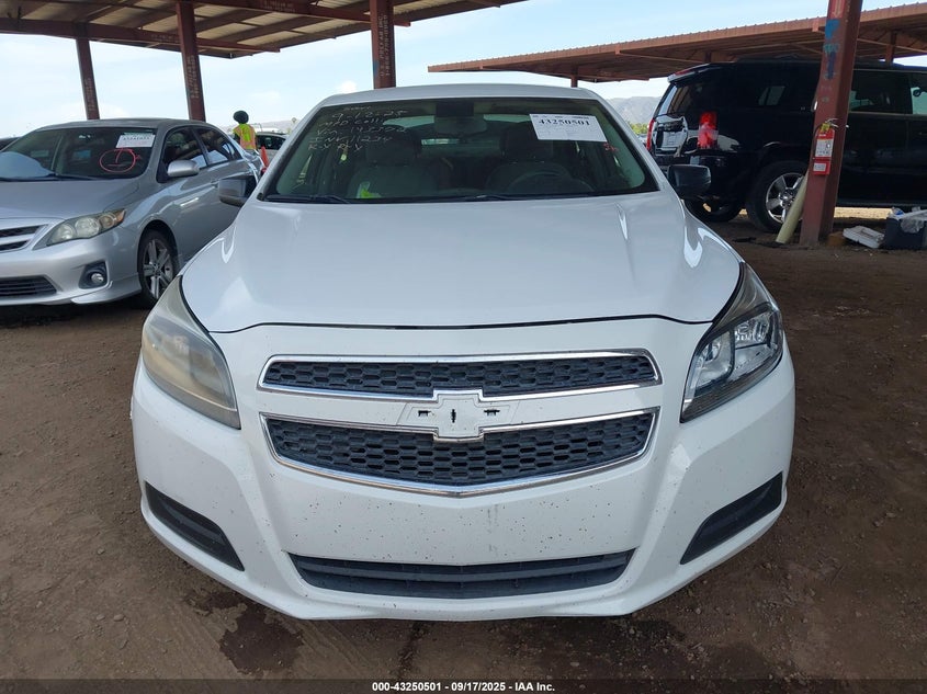 2013 CHEVROLET MALIBU 1LS - 1G11B5SA8DF143372
