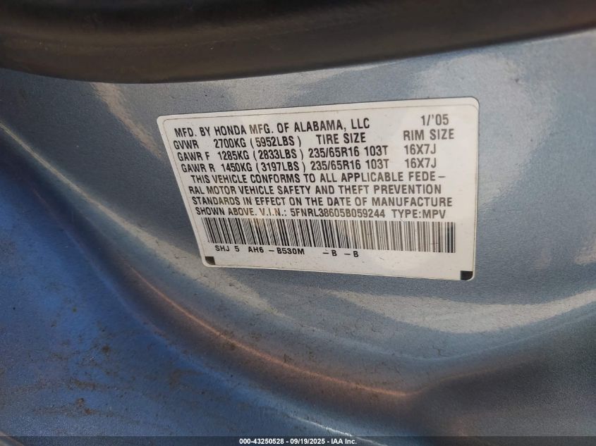 2005 Honda Odyssey Ex-L VIN: 5FNRL38605B059244 Lot: 43250528