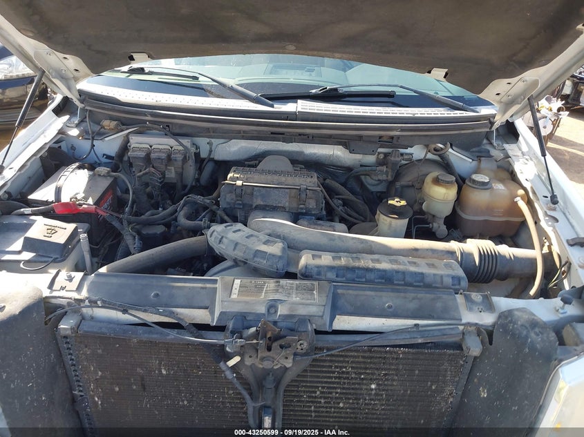 2007 Ford F-150 Lariat/Stx/Xl/Xlt VIN: 1FTPX12V77KC41013 Lot: 43250599