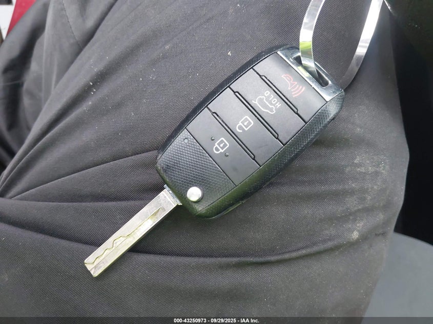 2017 Kia Sorento 3.3L Lx VIN: 5XYPG4A59HG209934 Lot: 43250973