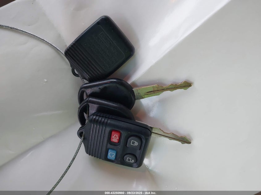 2007 Ford Explorer Eddie Bauer VIN: 1FMEU74887UA69536 Lot: 43250980