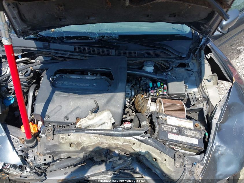 2004 Acura Tl VIN: 19UUA66244A069821 Lot: 43251257