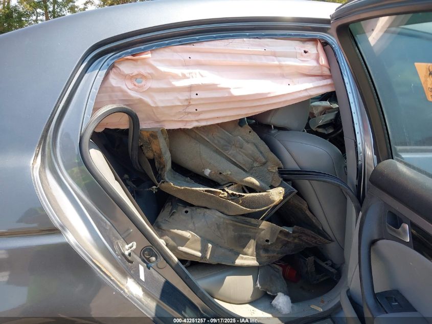 2004 Acura Tl VIN: 19UUA66244A069821 Lot: 43251257