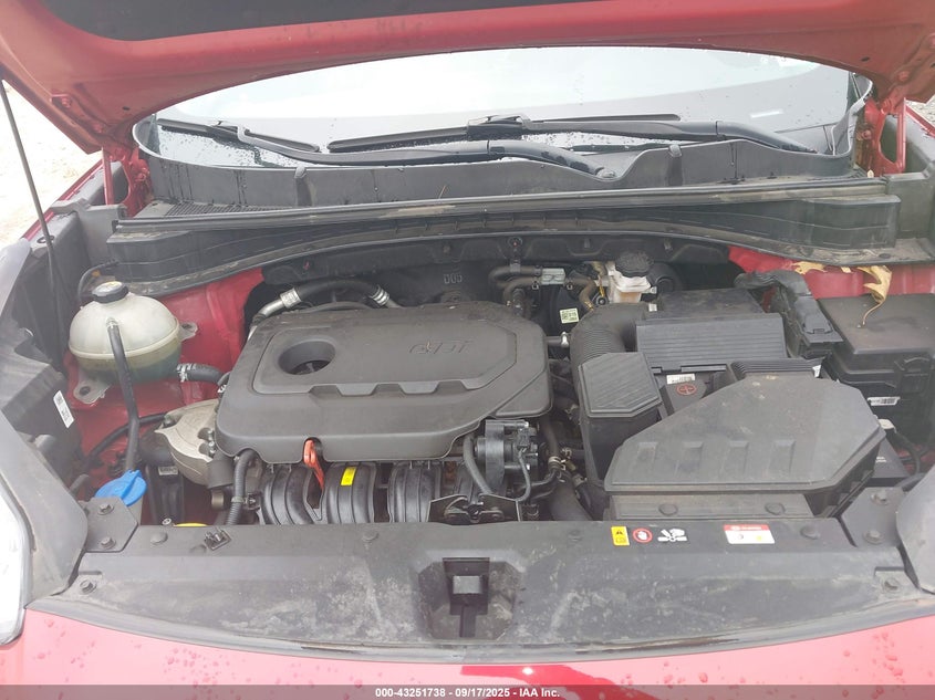 2021 KIA SPORTAGE EX - KNDPNCAC6M7858029