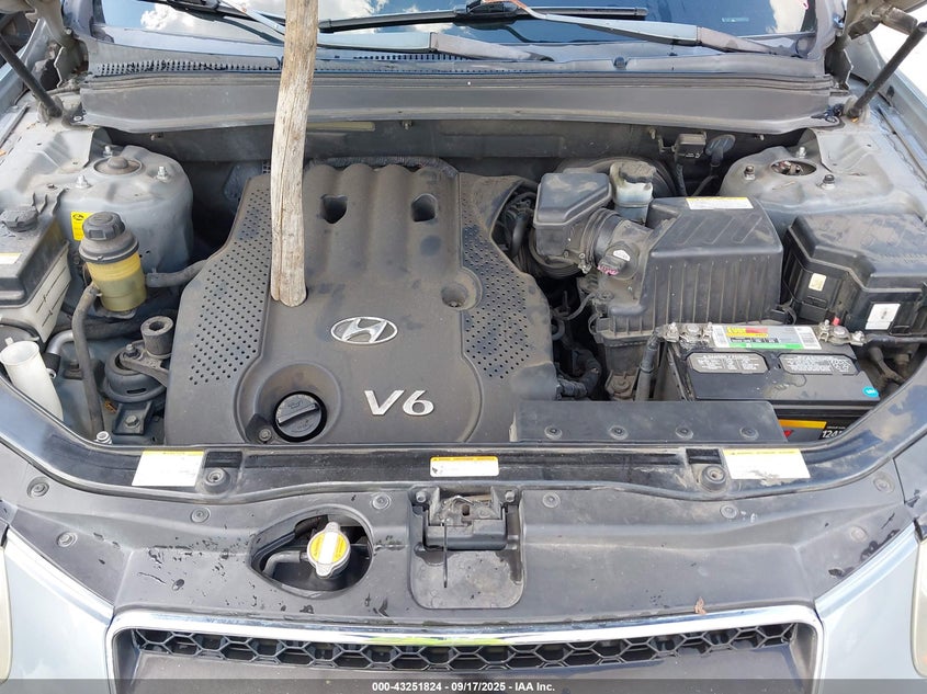 2007 Hyundai Santa Fe Gls VIN: 5NMSG13DX7H097775 Lot: 43251824