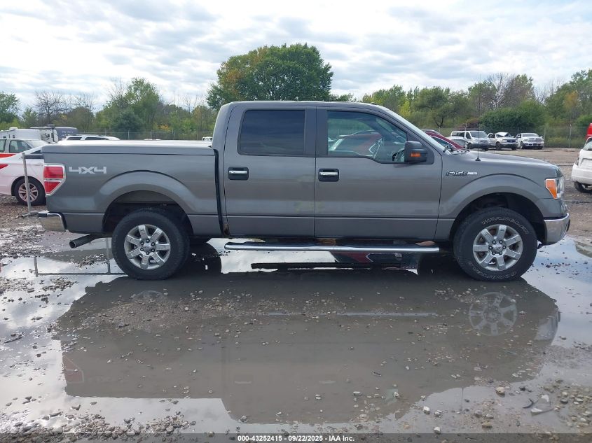 2013 Ford F-150 Xlt VIN: 1FTFW1EF9DKG30931 Lot: 43252415