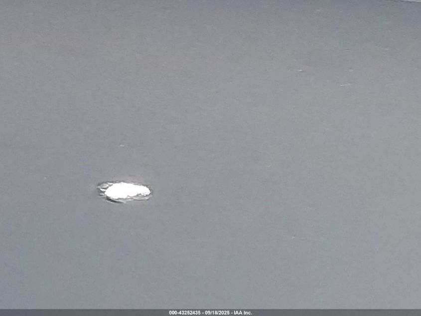 2020 Ford F-250 Lariat VIN: 1FT8W2BT5LEC58896 Lot: 43252435