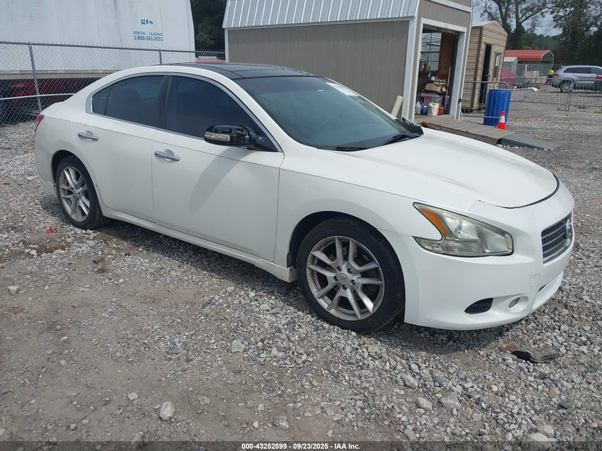 NISSAN MAXIMA 3.5 SV