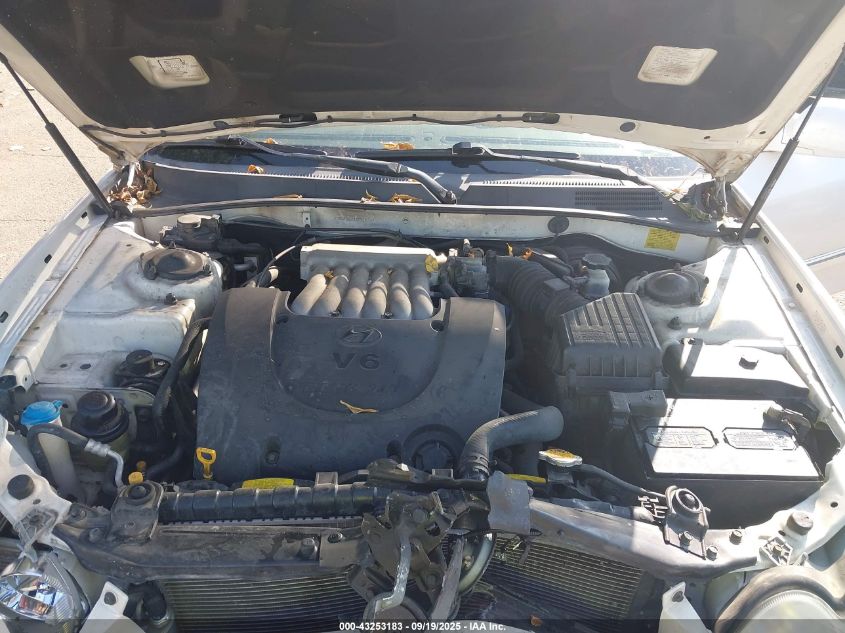 2004 Hyundai Sonata Gls/Lx VIN: KMHWF35H44A018344 Lot: 43253183