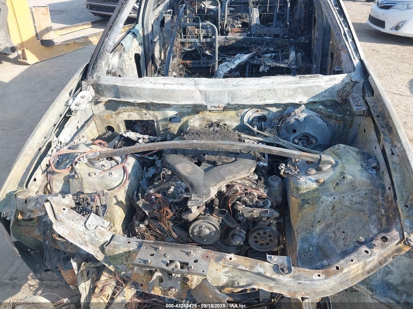 2007 Cadillac Srx V6 VIN: 1GYEE637970191702 Lot: 43253426