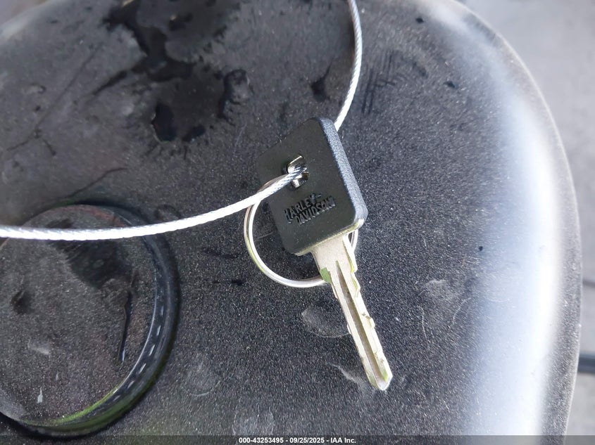 2019 Harley-Davidson Xl883 N VIN: 1HD4LE212KC403988 Lot: 43253495