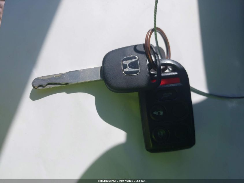 2009 Honda Odyssey Ex-L VIN: 5FNRL38619B413472 Lot: 43253750