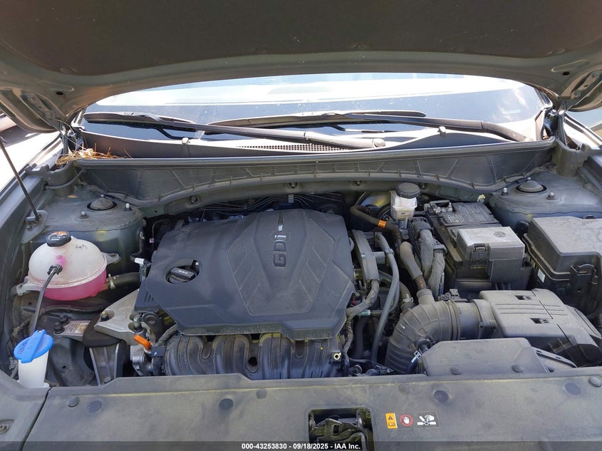 2023 HYUNDAI TUCSON SEL 5NMJF3AE9PH206927