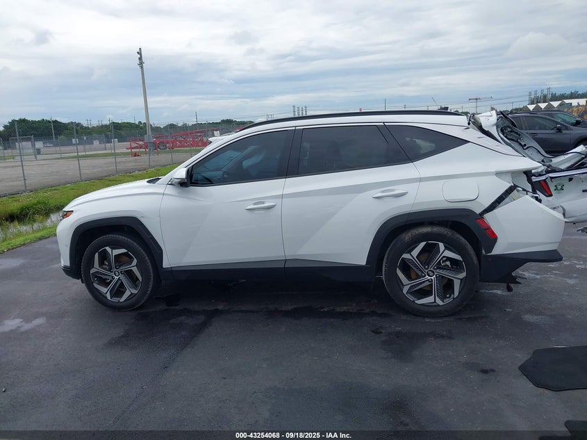 2023 HYUNDAI TUCSON LIMITED 5NMJECAE6PH241282