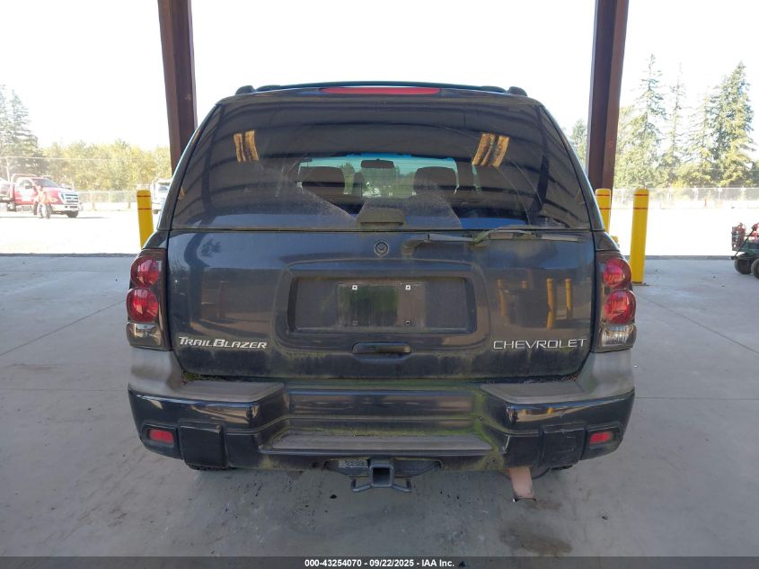 2003 Chevrolet Trailblazer Ls VIN: 1GNDT13S632130764 Lot: 43254070