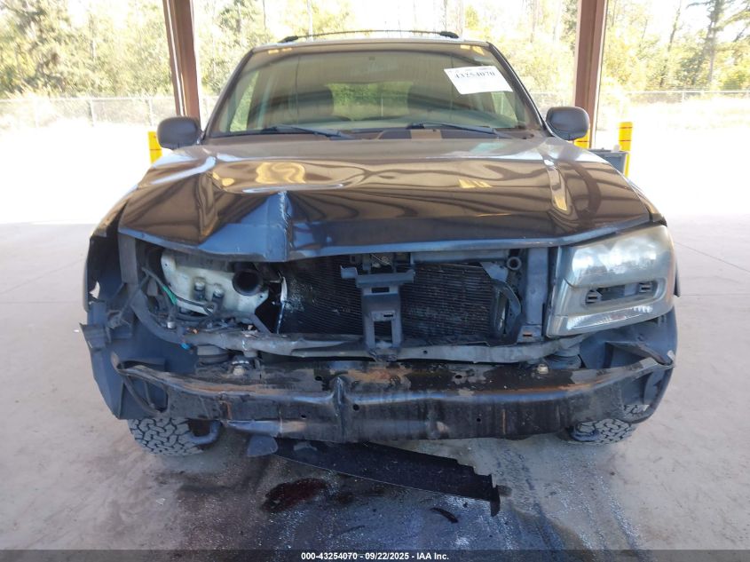 2003 Chevrolet Trailblazer Ls VIN: 1GNDT13S632130764 Lot: 43254070